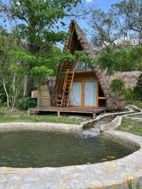 Cabañas Los Apantles Huastecos Cascada de Tamul